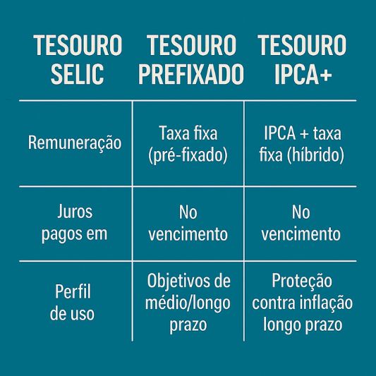 diferentes investimentos do Tesouro Direto